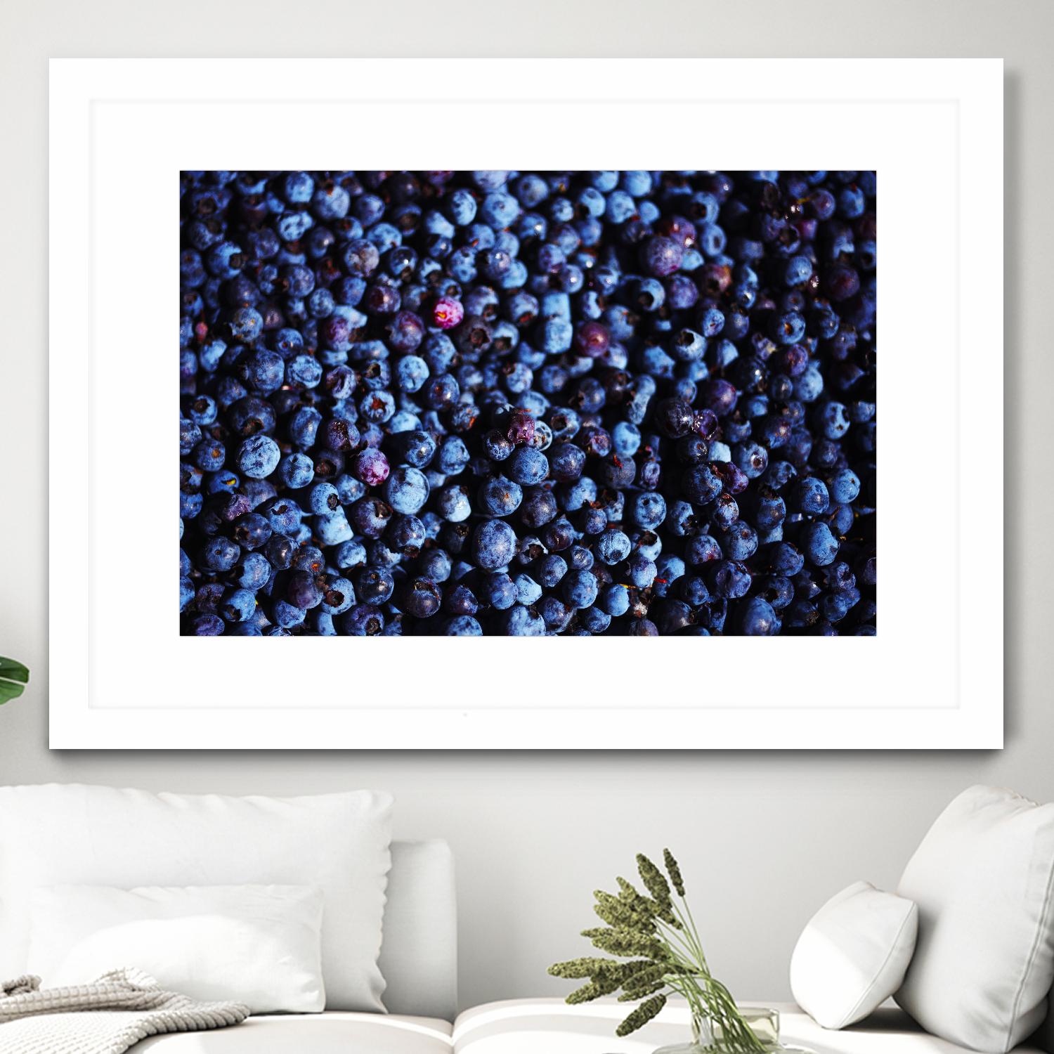 Blueberries II by Peter Morneau on GIANT ART - blue photo art