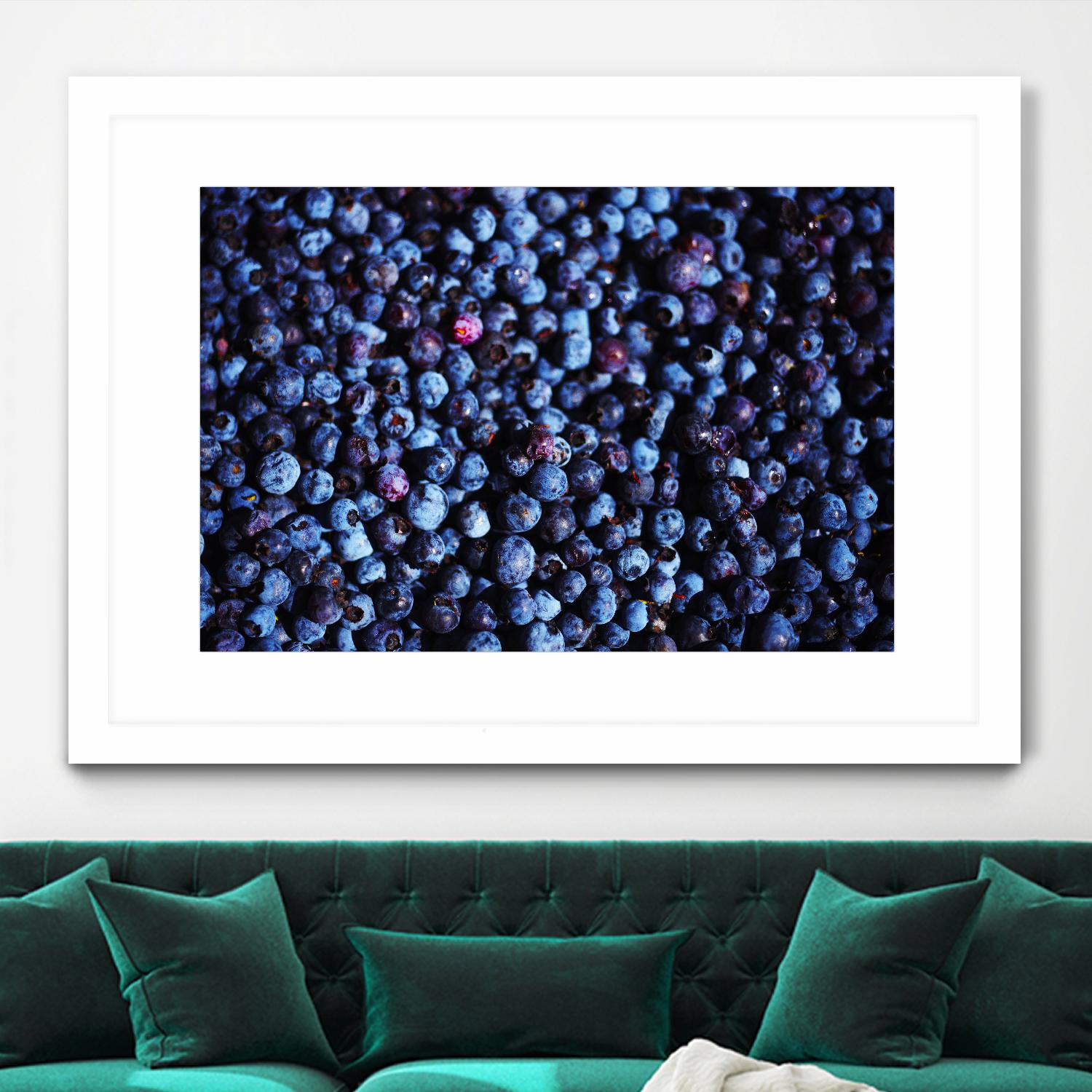 Blueberries II by Peter Morneau on GIANT ART - blue photo art