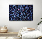 Blueberries II by Peter Morneau on GIANT ART - blue photo art