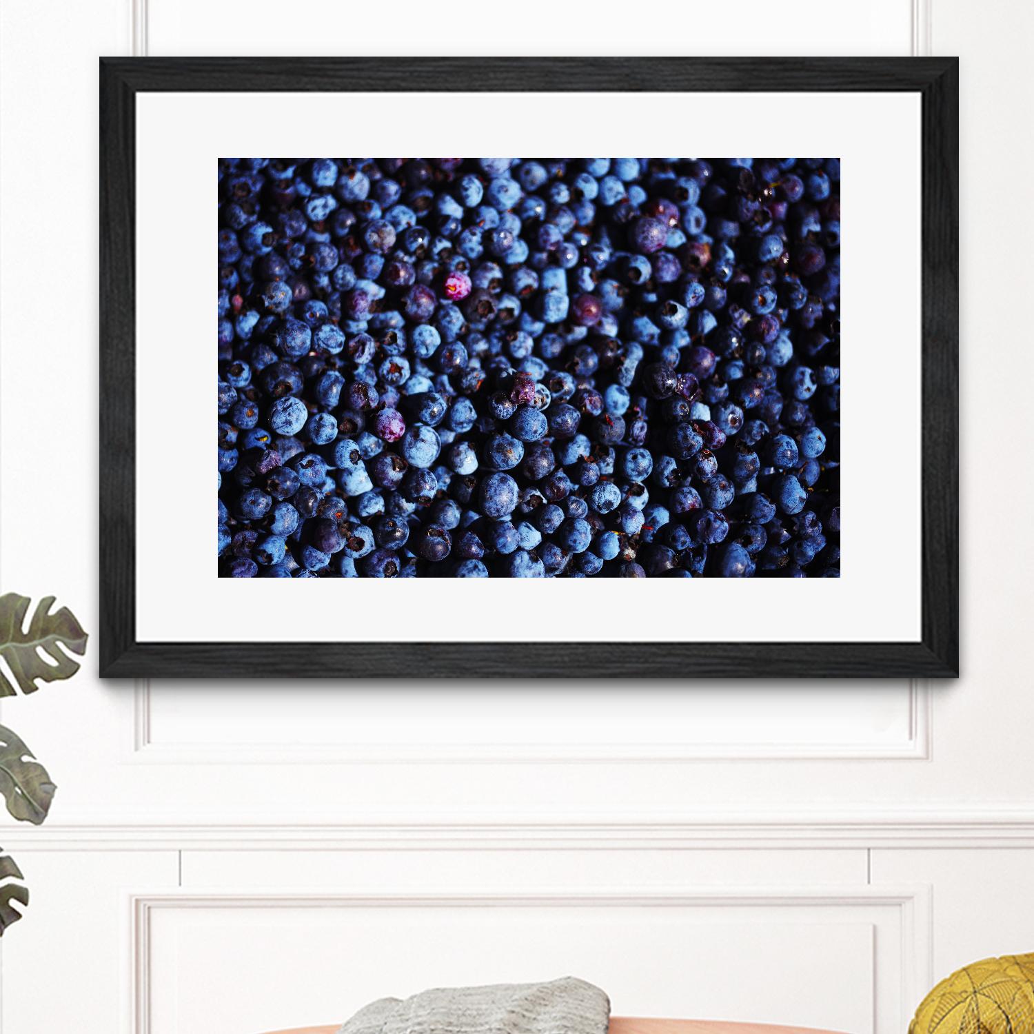 Blueberries II by Peter Morneau on GIANT ART - blue photo art