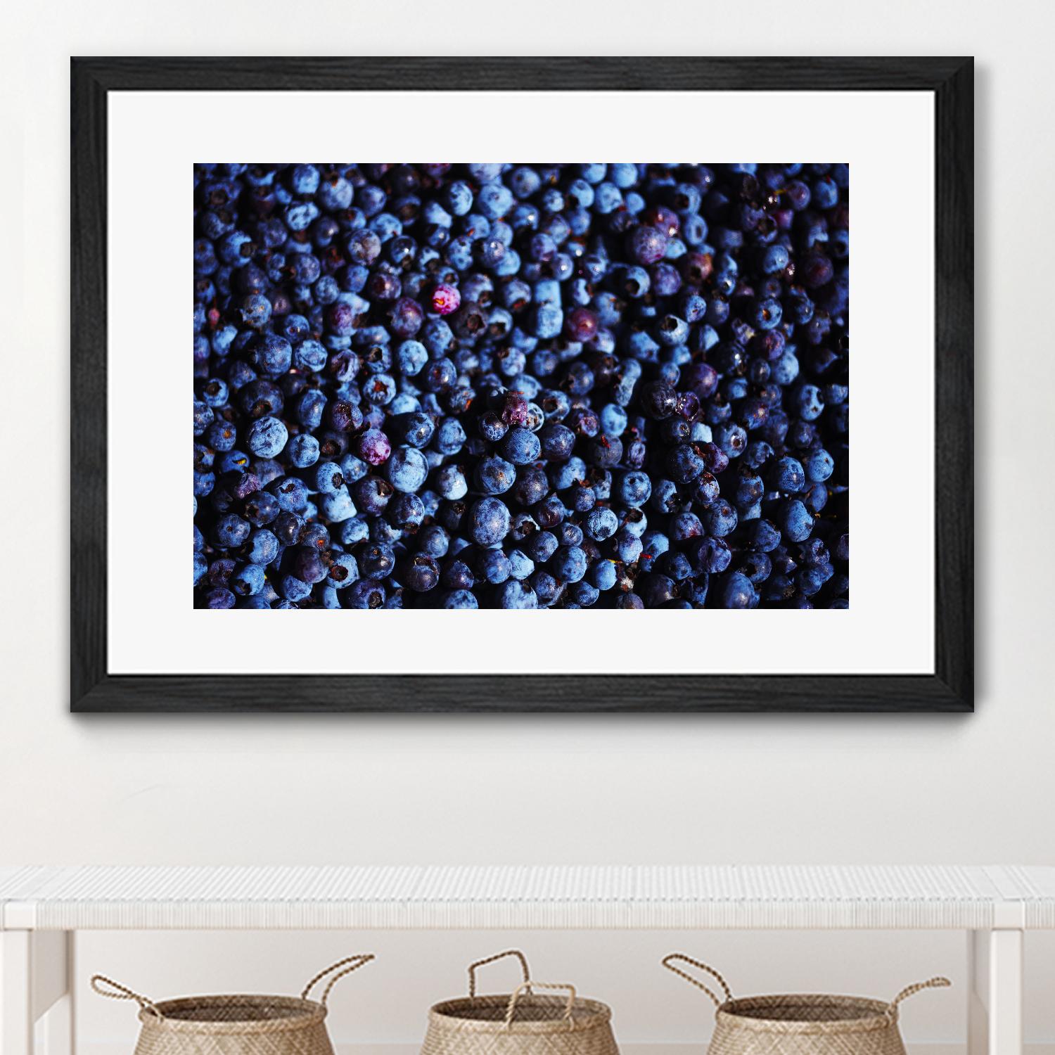 Blueberries II by Peter Morneau on GIANT ART - blue photo art