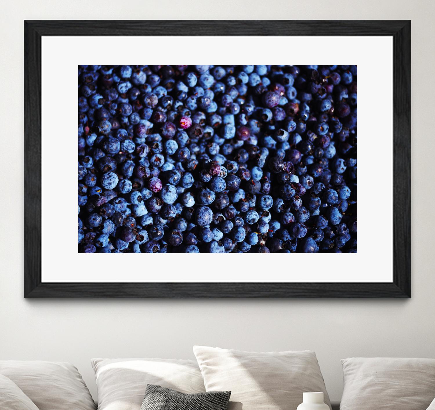 Blueberries II by Peter Morneau on GIANT ART - blue photo art
