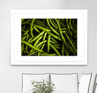 Greens I by Peter Morneau on GIANT ART - black photo art