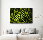 Greens I by Peter Morneau on GIANT ART - black photo art