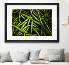 Greens I by Peter Morneau on GIANT ART - black photo art