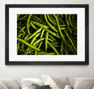 Greens I by Peter Morneau on GIANT ART - black photo art