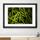Greens I by Peter Morneau on GIANT ART - black photo art