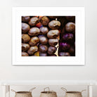 Garlic by Peter Morneau on GIANT ART - purple photo art