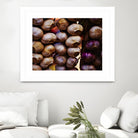 Garlic by Peter Morneau on GIANT ART - purple photo art