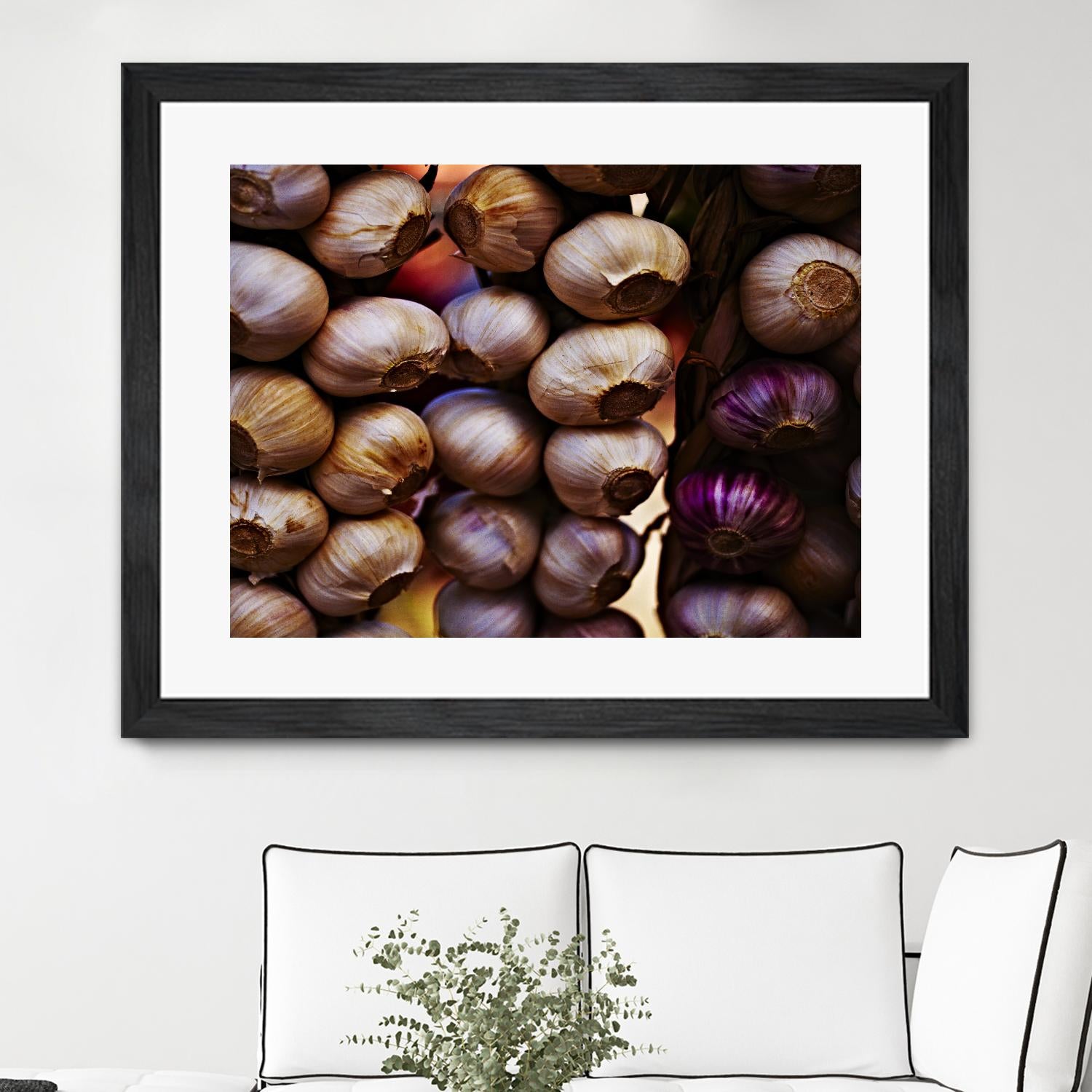 Garlic by Peter Morneau on GIANT ART - purple photo art