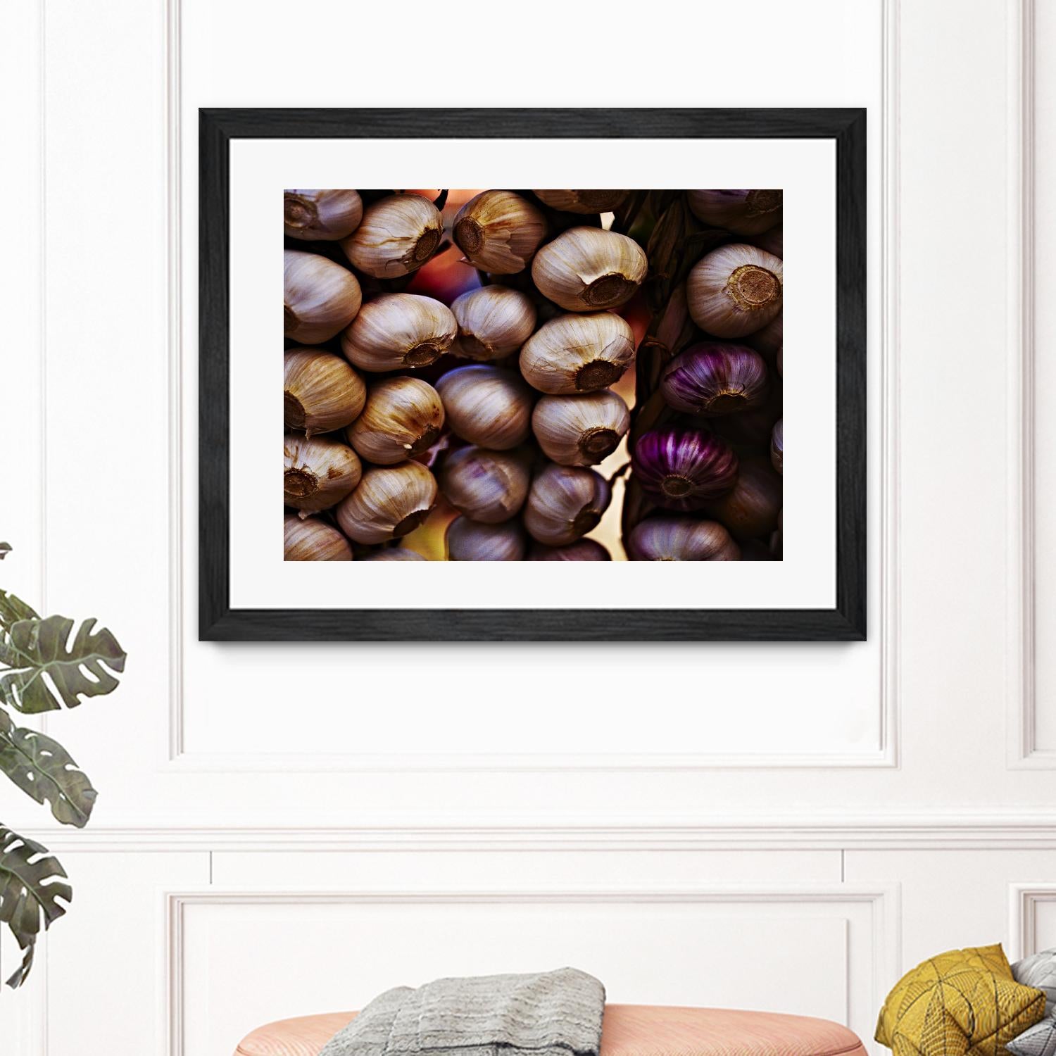 Garlic by Peter Morneau on GIANT ART - purple photo art