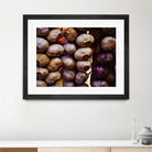 Garlic by Peter Morneau on GIANT ART - purple photo art