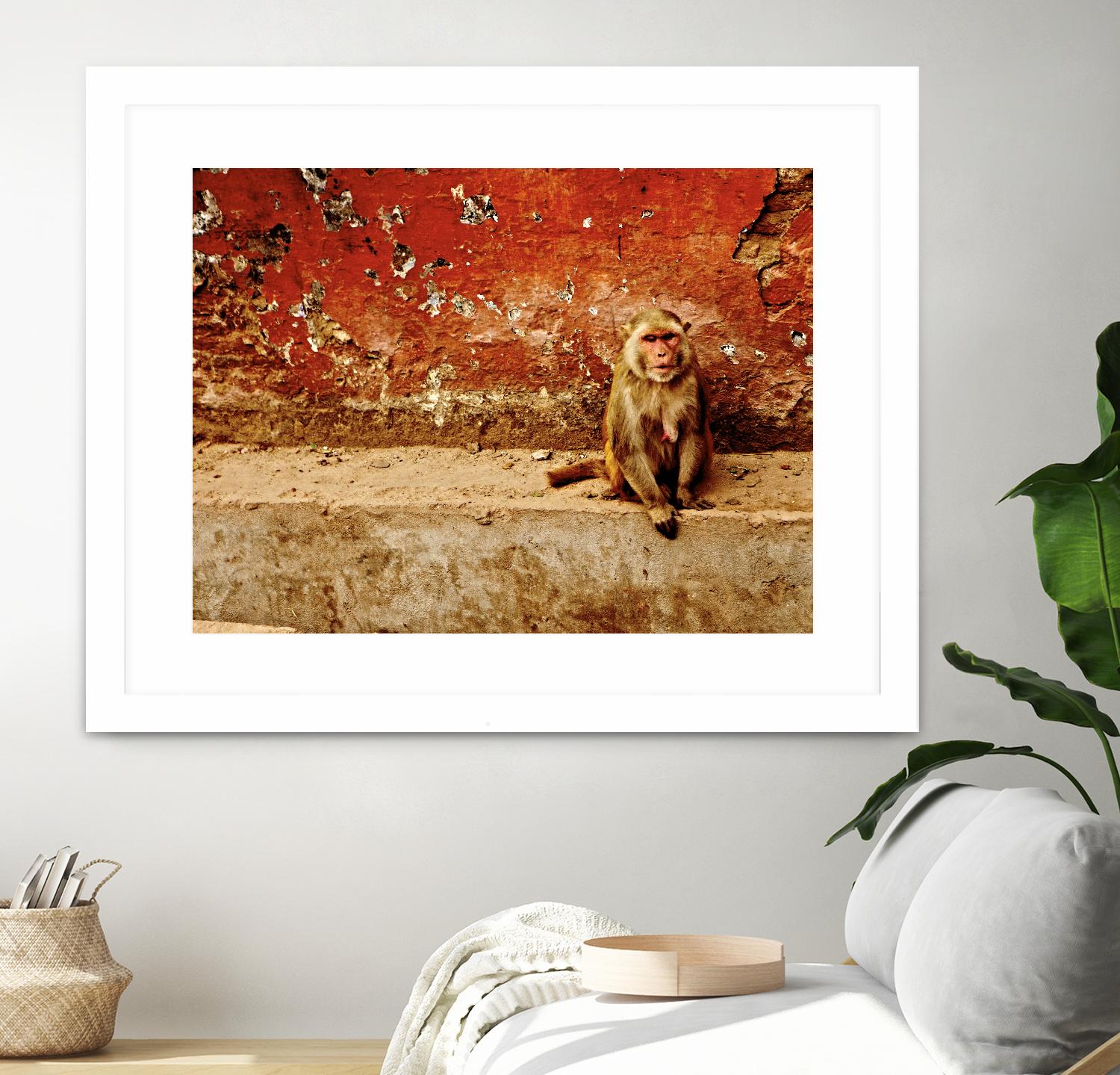 Monkey by Peter Morneau on GIANT ART - orange photo art