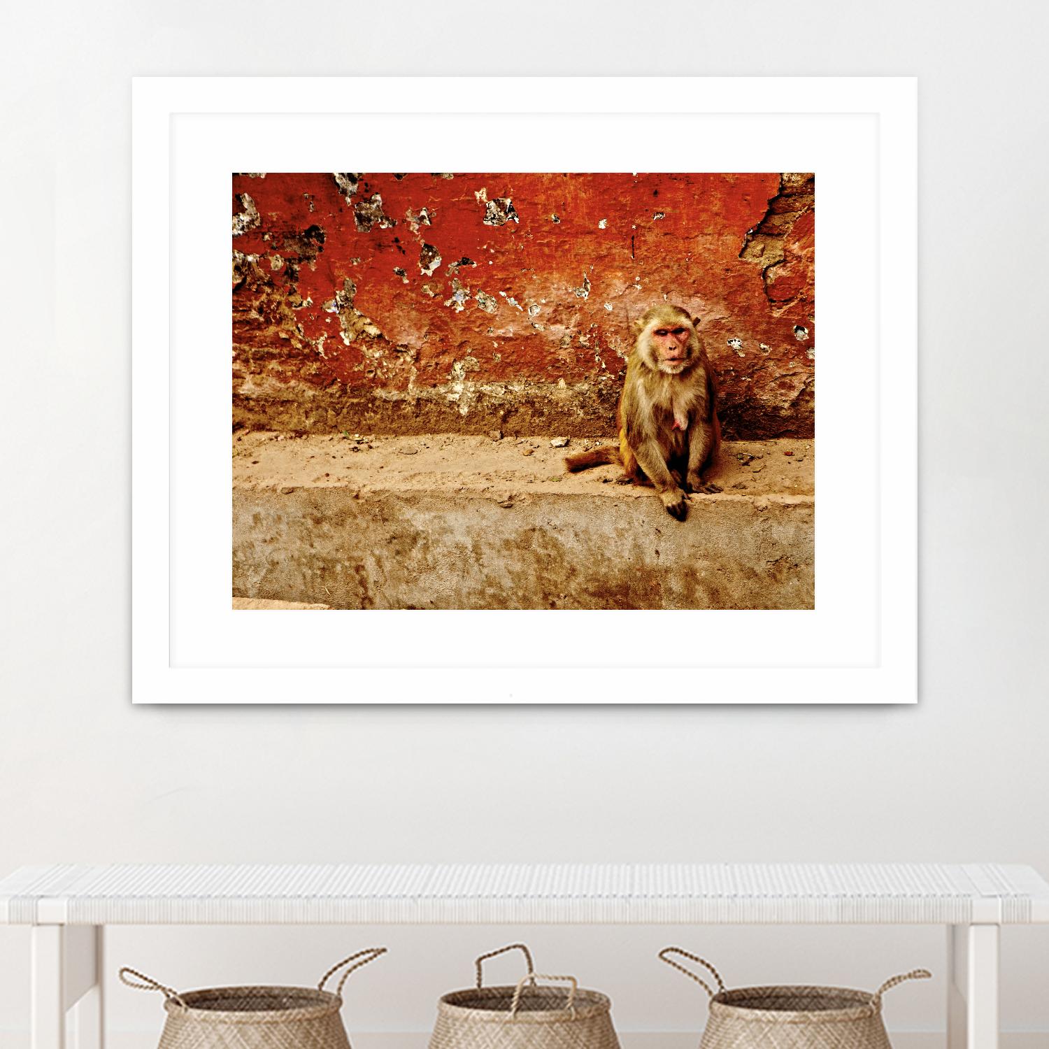Monkey by Peter Morneau on GIANT ART - orange photo art