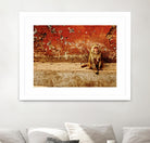 Monkey by Peter Morneau on GIANT ART - orange photo art