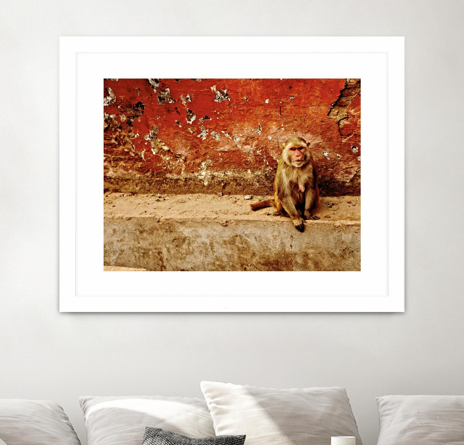 Monkey by Peter Morneau on GIANT ART - orange photo art