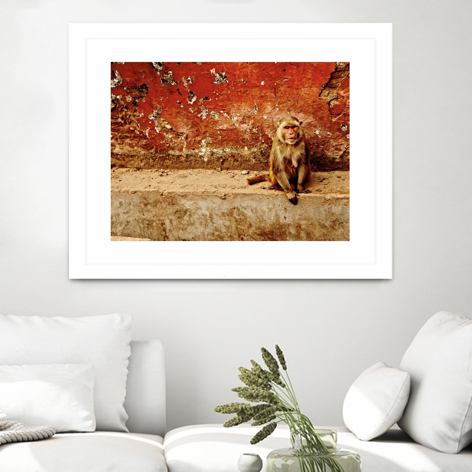 Monkey by Peter Morneau on GIANT ART - orange photo art