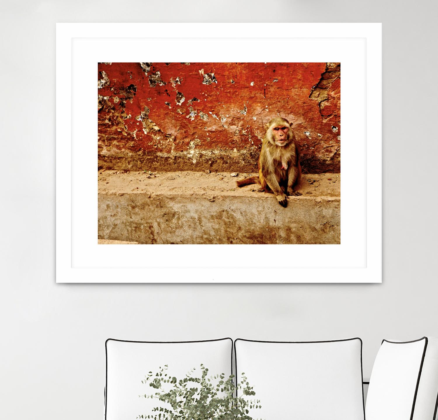 Monkey by Peter Morneau on GIANT ART - orange photo art