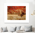 Monkey by Peter Morneau on GIANT ART - orange photo art