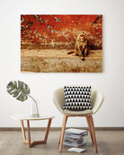 Monkey by Peter Morneau on GIANT ART - orange photo art