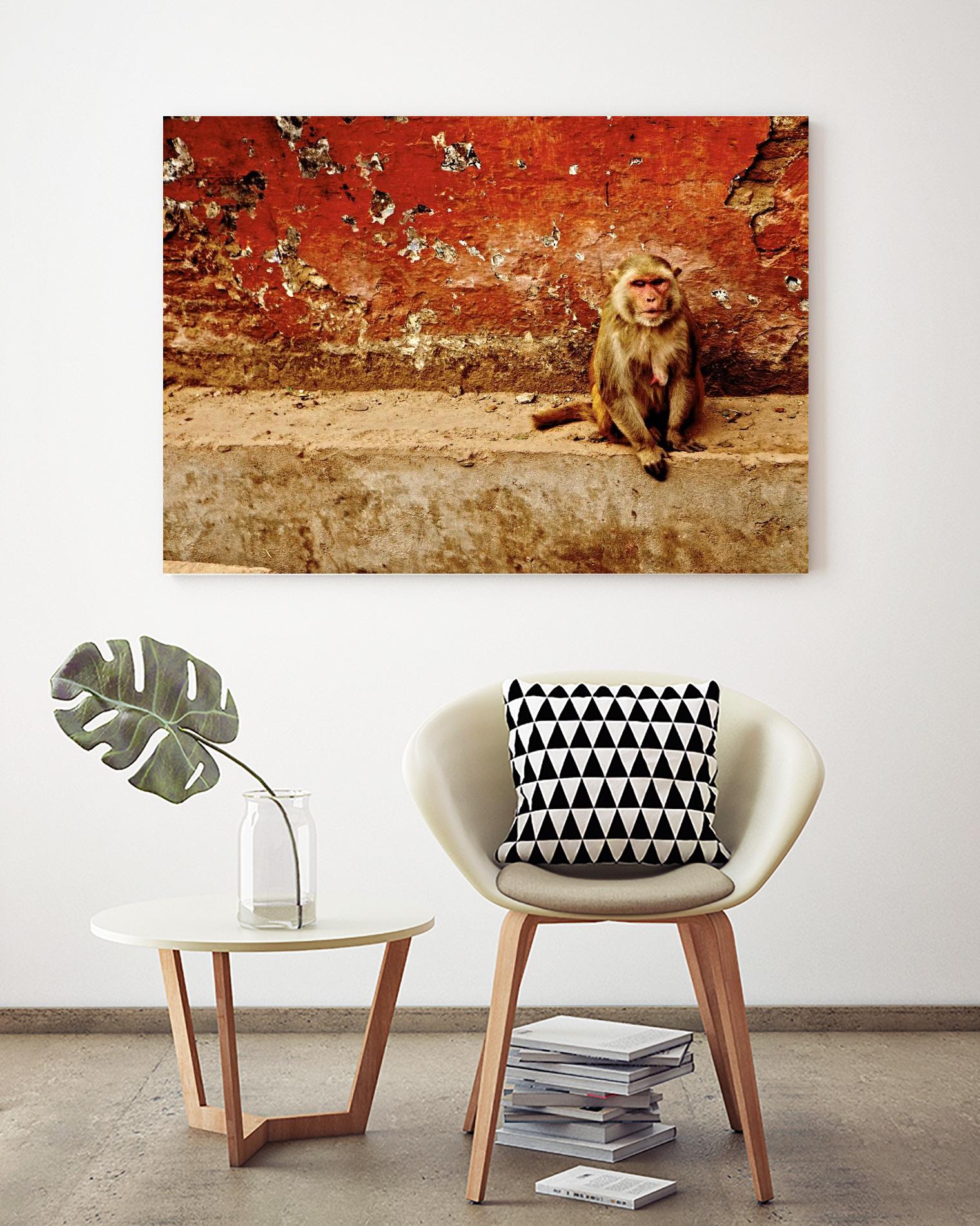 Monkey by Peter Morneau on GIANT ART - orange photo art