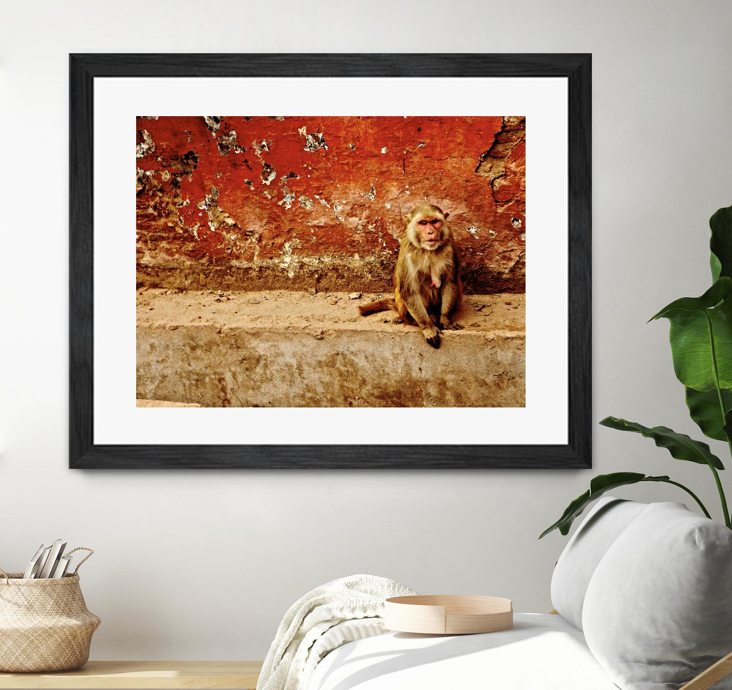 Monkey by Peter Morneau on GIANT ART - orange photo art