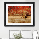 Monkey by Peter Morneau on GIANT ART - orange photo art