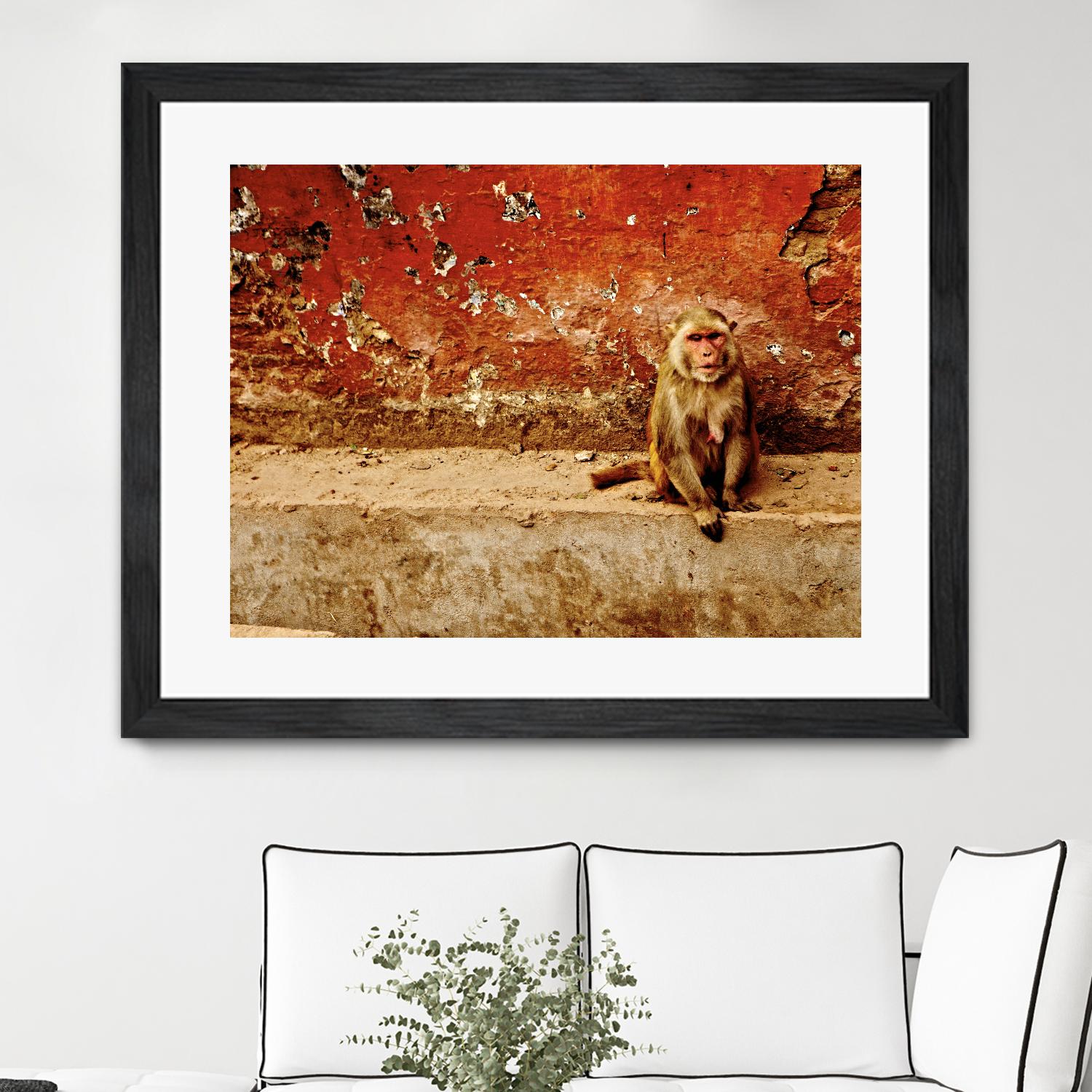 Monkey by Peter Morneau on GIANT ART - orange photo art