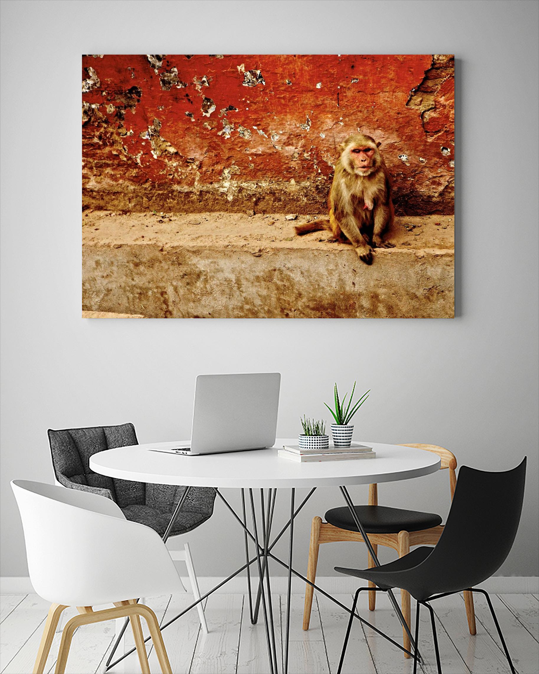 Monkey by Peter Morneau on GIANT ART - orange photo art