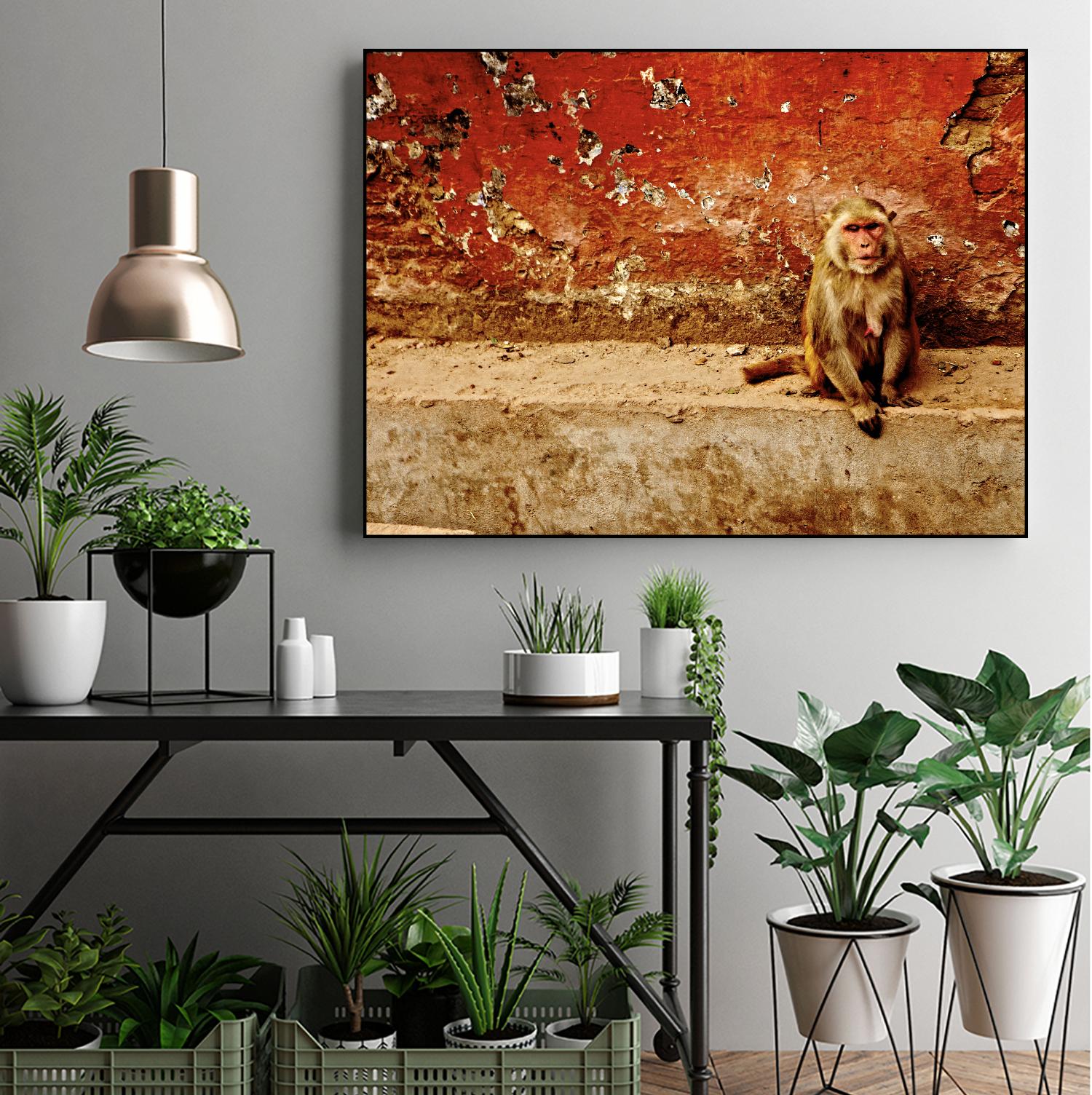Monkey by Peter Morneau on GIANT ART - orange photo art