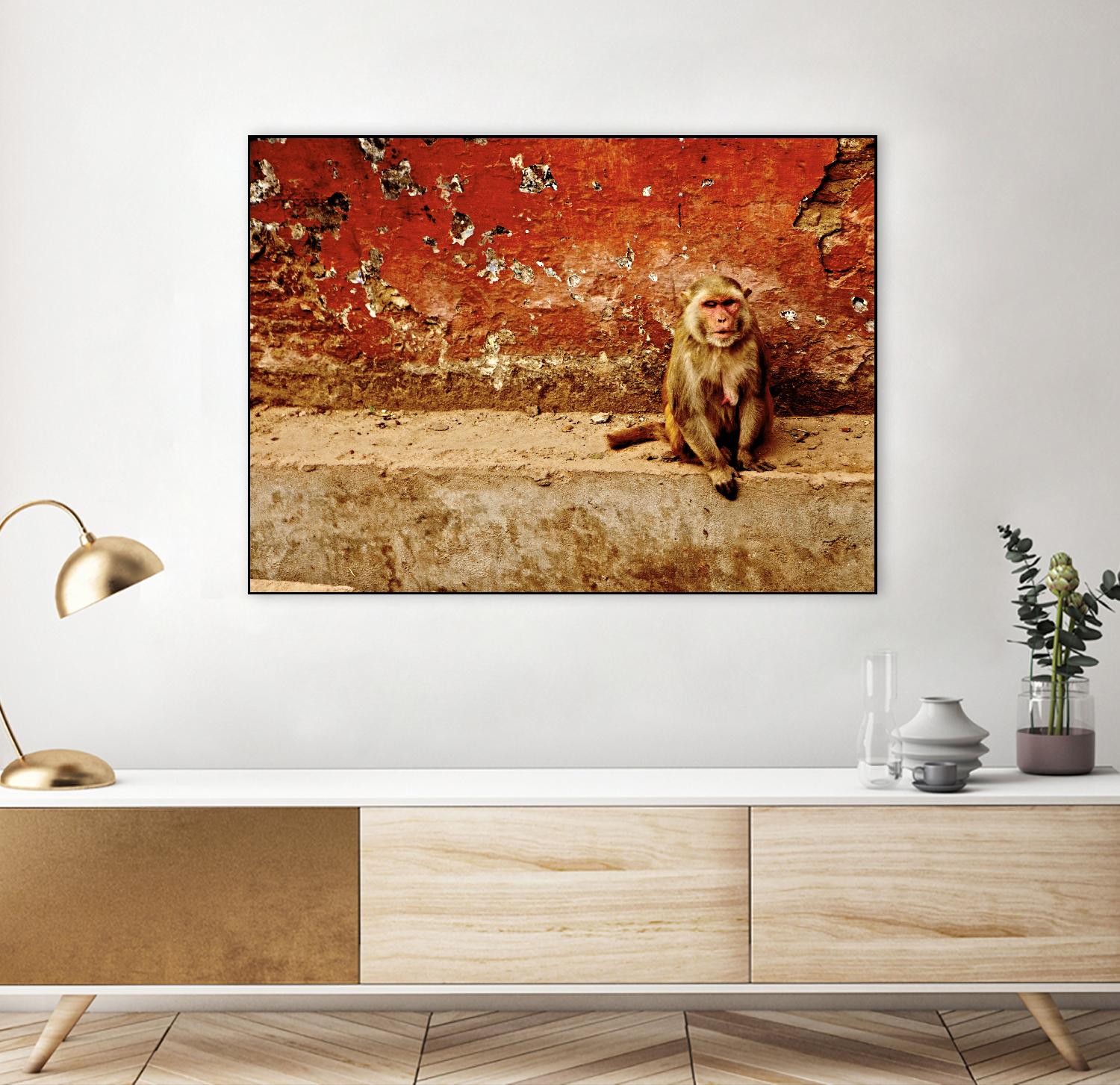 Monkey by Peter Morneau on GIANT ART - orange photo art