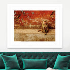Monkey by Peter Morneau on GIANT ART - orange photo art