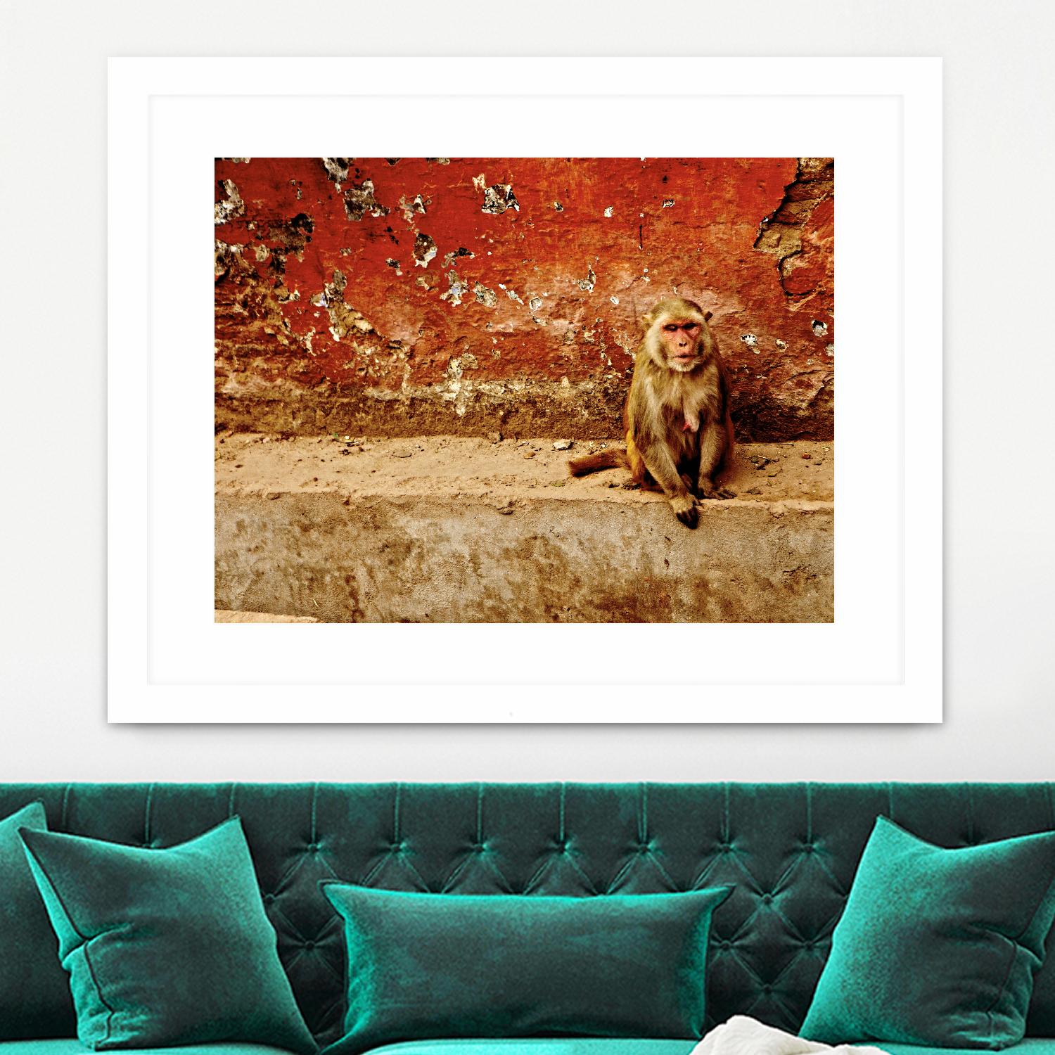 Monkey by Peter Morneau on GIANT ART - orange photo art