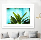Tropical II by Peter Morneau on GIANT ART - green photo art