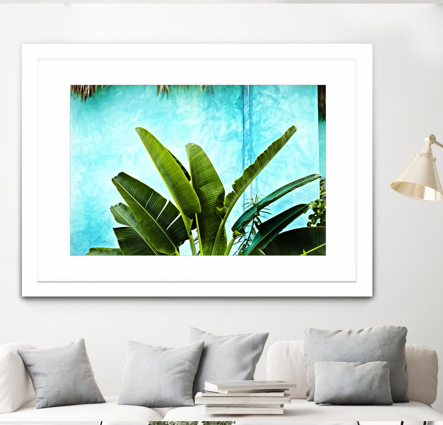 Tropical II by Peter Morneau on GIANT ART - green photo art