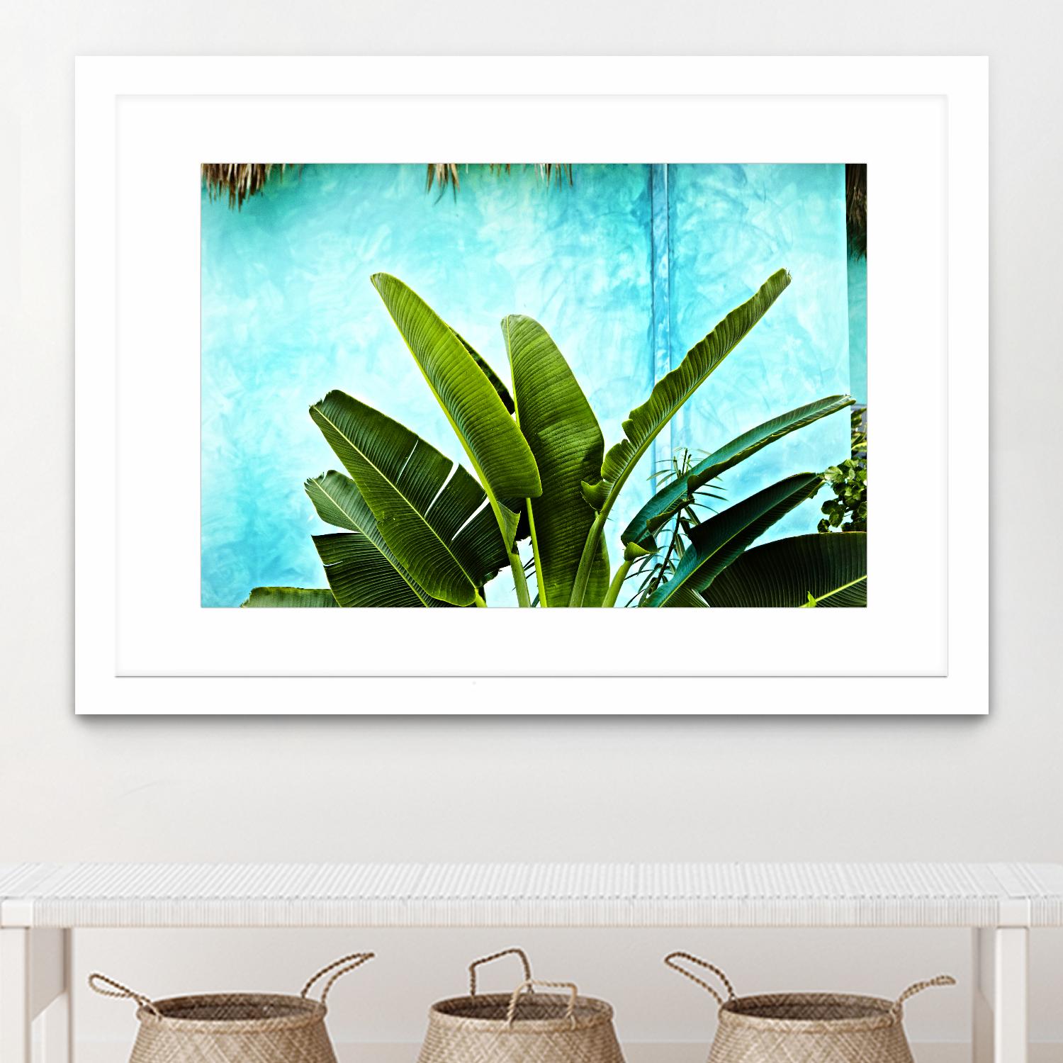 Tropical II by Peter Morneau on GIANT ART - green photo art