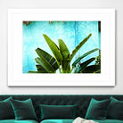 Tropical II by Peter Morneau on GIANT ART - green photo art