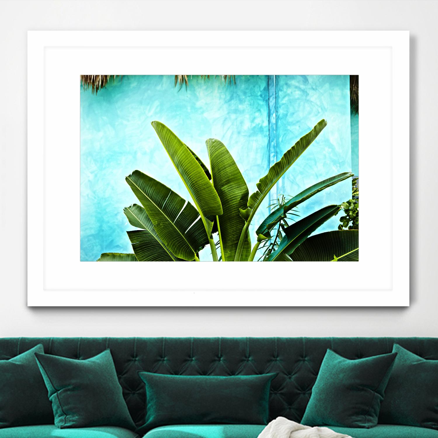 Tropical II by Peter Morneau on GIANT ART - green photo art