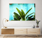 Tropical II by Peter Morneau on GIANT ART - green photo art