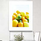 Lemons by Peter Morneau on GIANT ART - yellow photo art