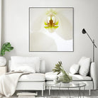 Flower by Peter Morneau on GIANT ART - green photo art