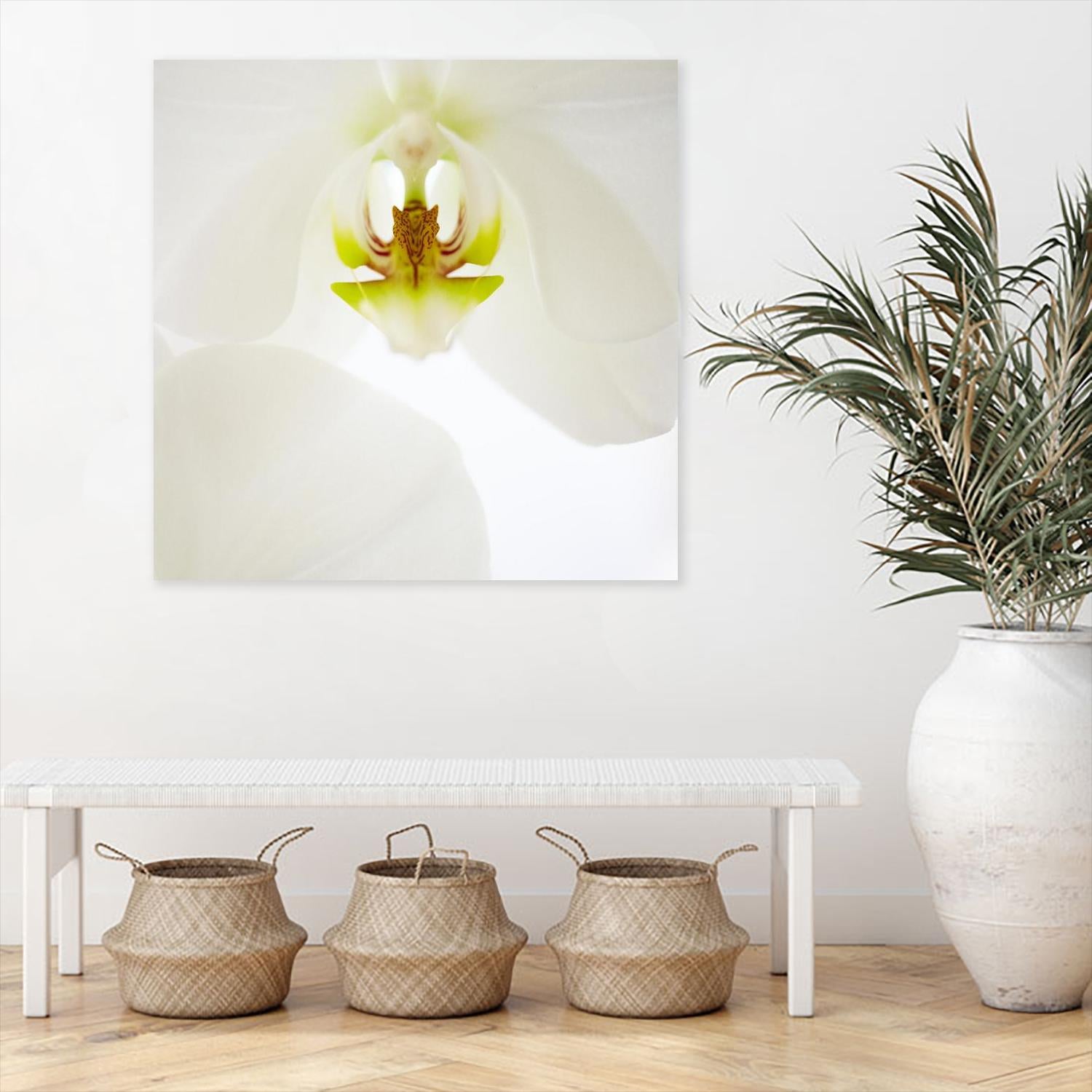 Flower by Peter Morneau on GIANT ART - green photo art