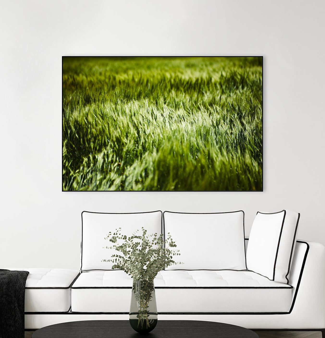 Grass IV by Peter Morneau on GIANT ART - green photo art