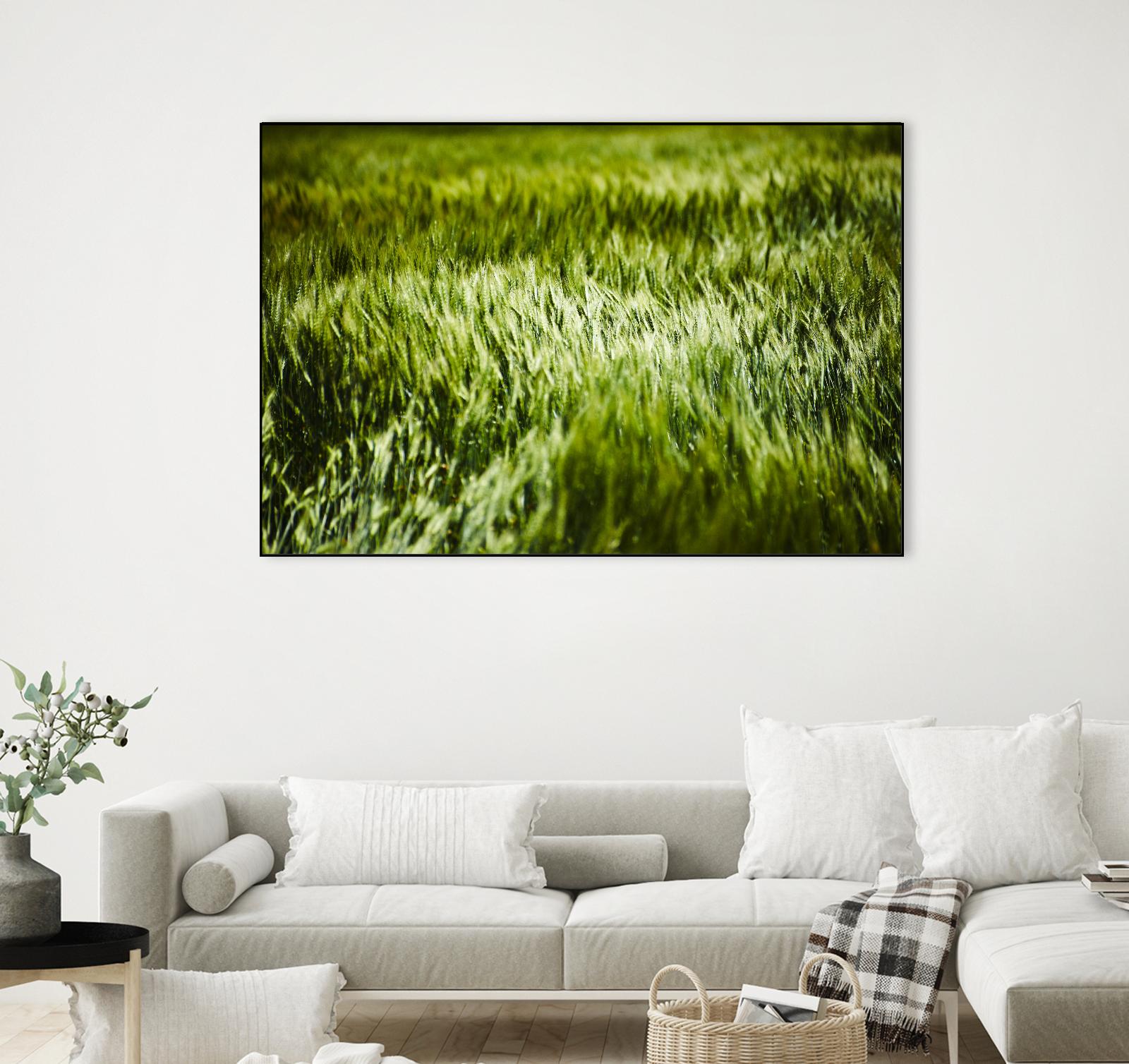 Grass IV by Peter Morneau on GIANT ART - green photo art