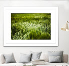 Grass IV by Peter Morneau on GIANT ART - green photo art