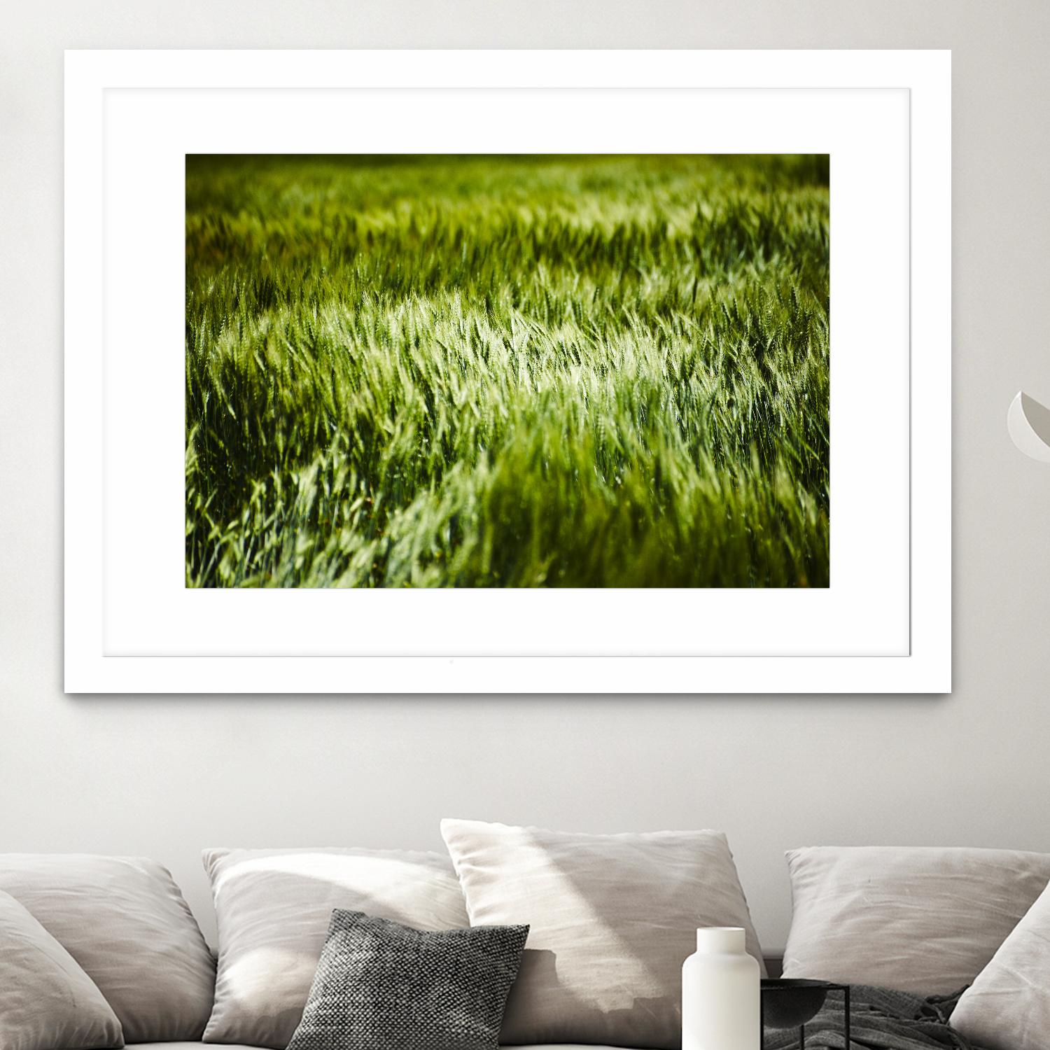 Grass IV by Peter Morneau on GIANT ART - green photo art