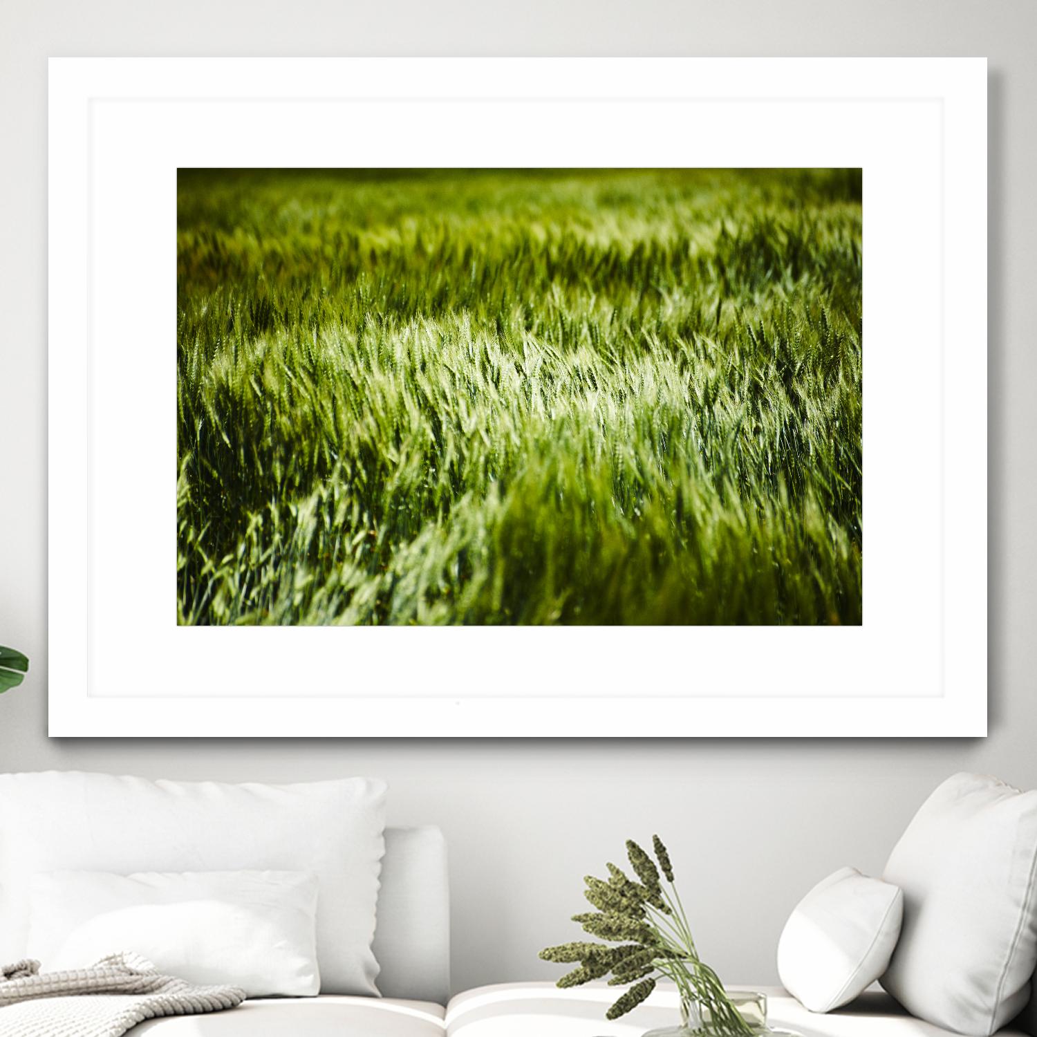Grass IV by Peter Morneau on GIANT ART - green photo art