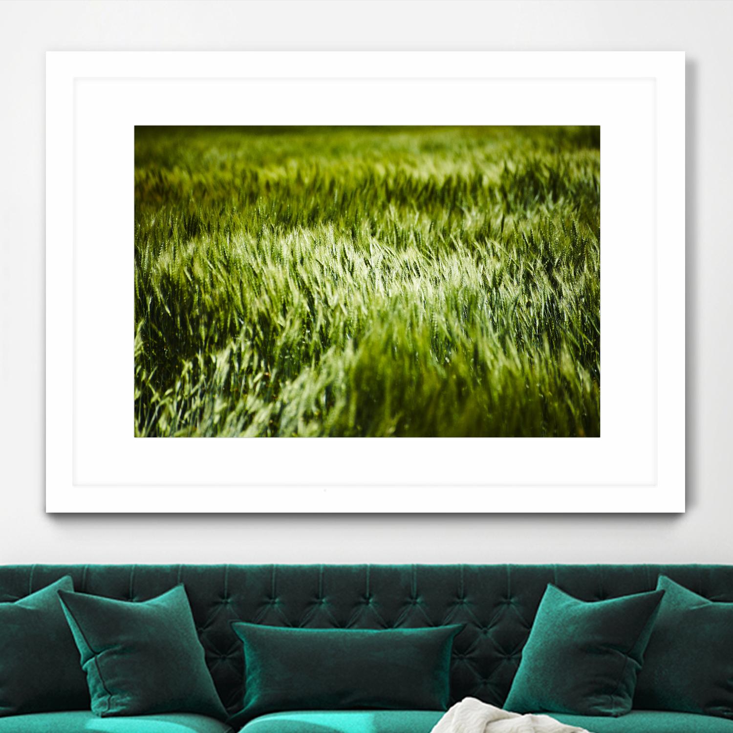 Grass IV by Peter Morneau on GIANT ART - green photo art