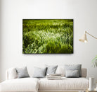 Grass IV by Peter Morneau on GIANT ART - green photo art