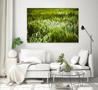 Grass IV by Peter Morneau on GIANT ART - green photo art